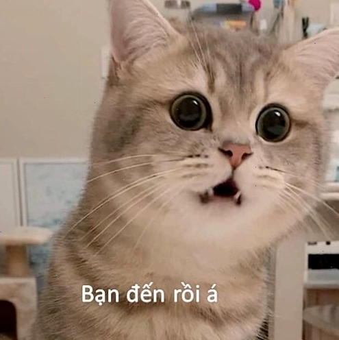 Bạn đến rồi á meme