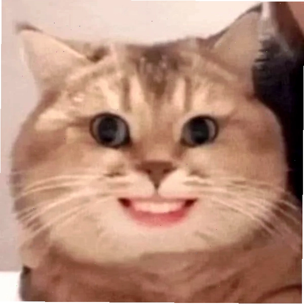 Biểu cảm hihi meme