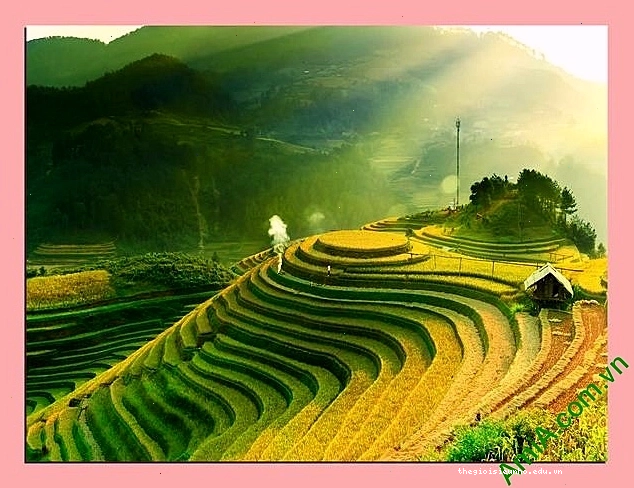Bình minh trên ruộng bậc thang Mù Cang Chải, Yên Bái