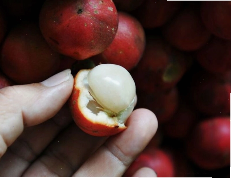 Bò một nắng muối kiến vàng đặc sản Phú Yên