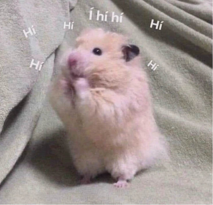 Bộ sưu tập meme chuột hamster đáng yêu