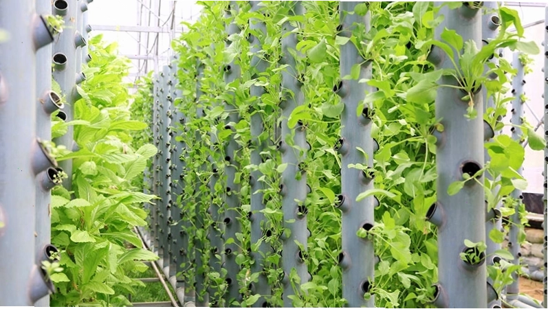 Các bước lắp đặt hệ thống khí canh