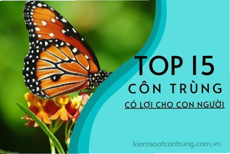 Các loại côn trùng có lợi cho môi trường