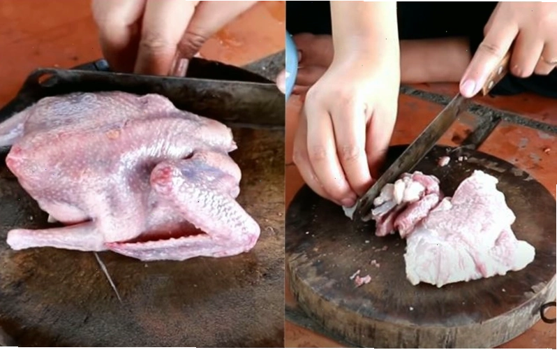 Cách sơ chế chim bồ câu trước khi nấu
