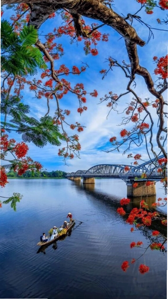 Cành hoa đỏ bên mặt hồ sông Hương tĩnh lặng chiều thu