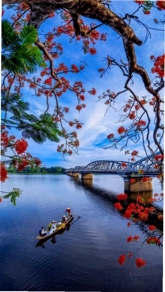 Cành hoa đỏ bên mặt hồ sông Hương tĩnh lặng chiều thu