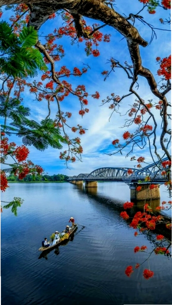 Cành hoa đỏ bên mặt hồ sông Hương tĩnh lặng chiều thu