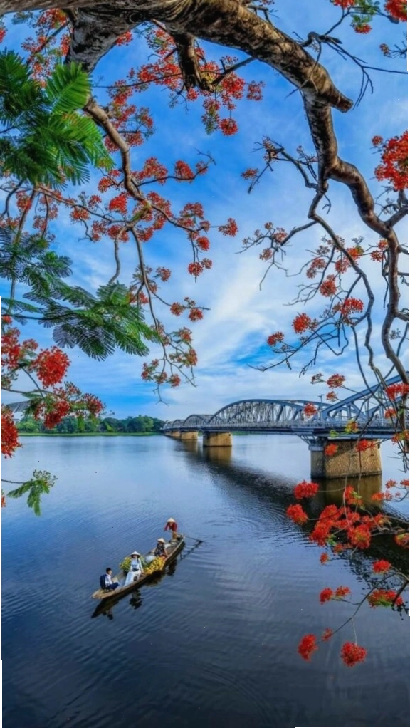 Cành hoa đỏ rực rỡ soi bóng bên mặt hồ sông Hương tĩnh lặng vào chiều thu