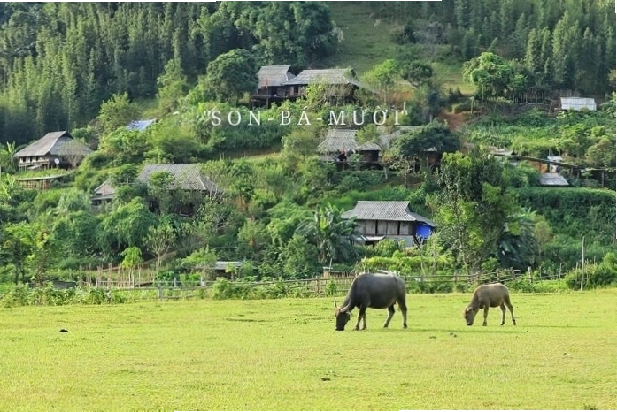Cảnh quan Pù Luông nhìn từ trên cao với những bản làng xen kẽ ruộng bậc thang