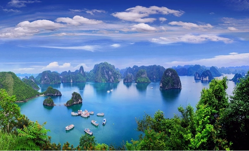 Cảnh quan Vịnh Hạ Long với những ngọn núi đá vôi nhô lên từ mặt biển xanh ngắt