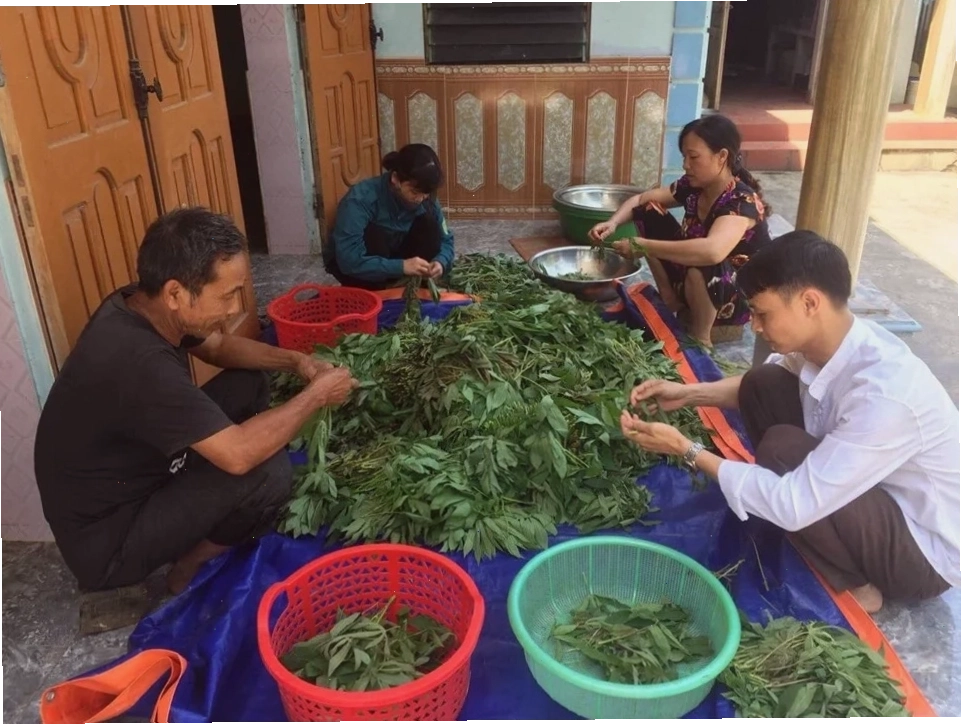 Canh rau sắn nấu cùng tôm tươi.