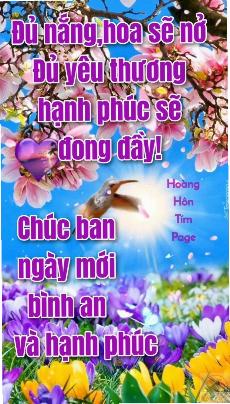 Chào ngày mới với nụ cười rạng rỡ là bí quyết để sống vui mỗi ngày