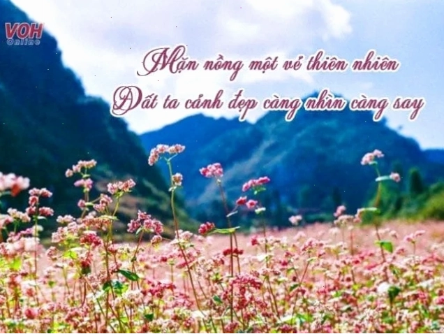 Con đường đất đỏ uốn lượn trên triền đồi