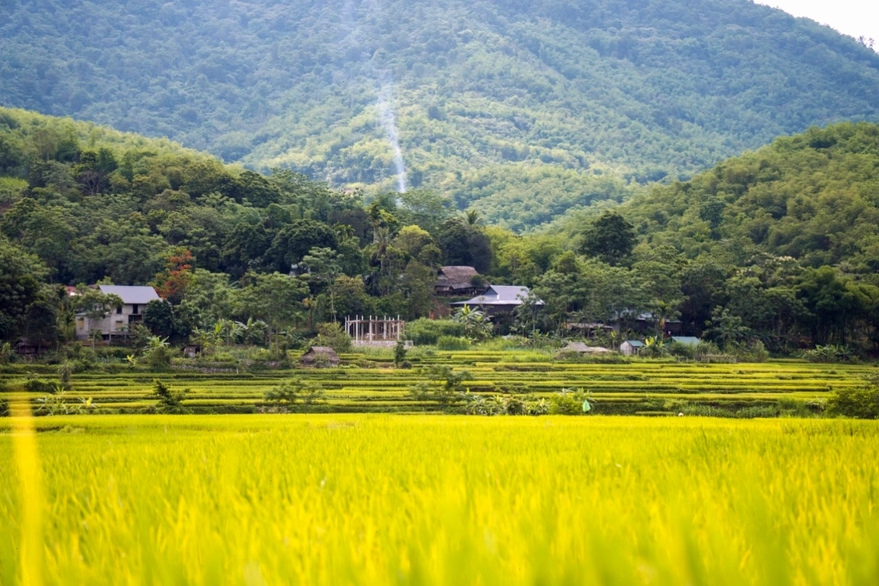 Cuộc sống nhộn nhịp tại Bản Đôn, Pù Luông
