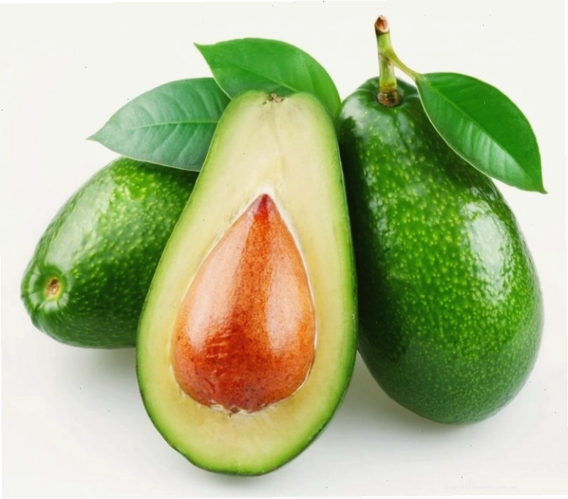 Đa dạng các giống bơ Lâm Đồng