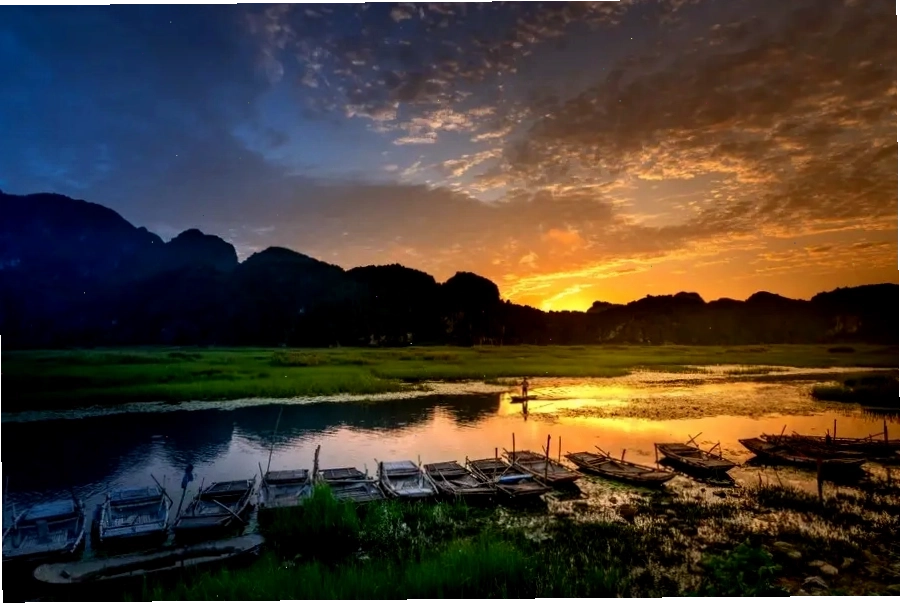 Đầm Vân Long - Thiên đường cho các loài chim và động vật hoang dã