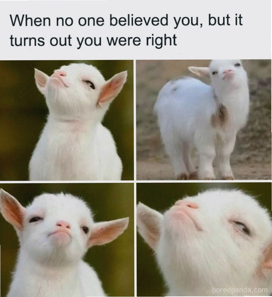 Dê con trắng với biểu cảm tự tin, animal meme