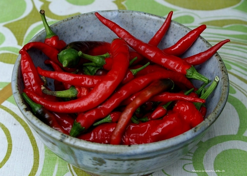 Dùng ớt tươi để sơ chế măng hết đắng