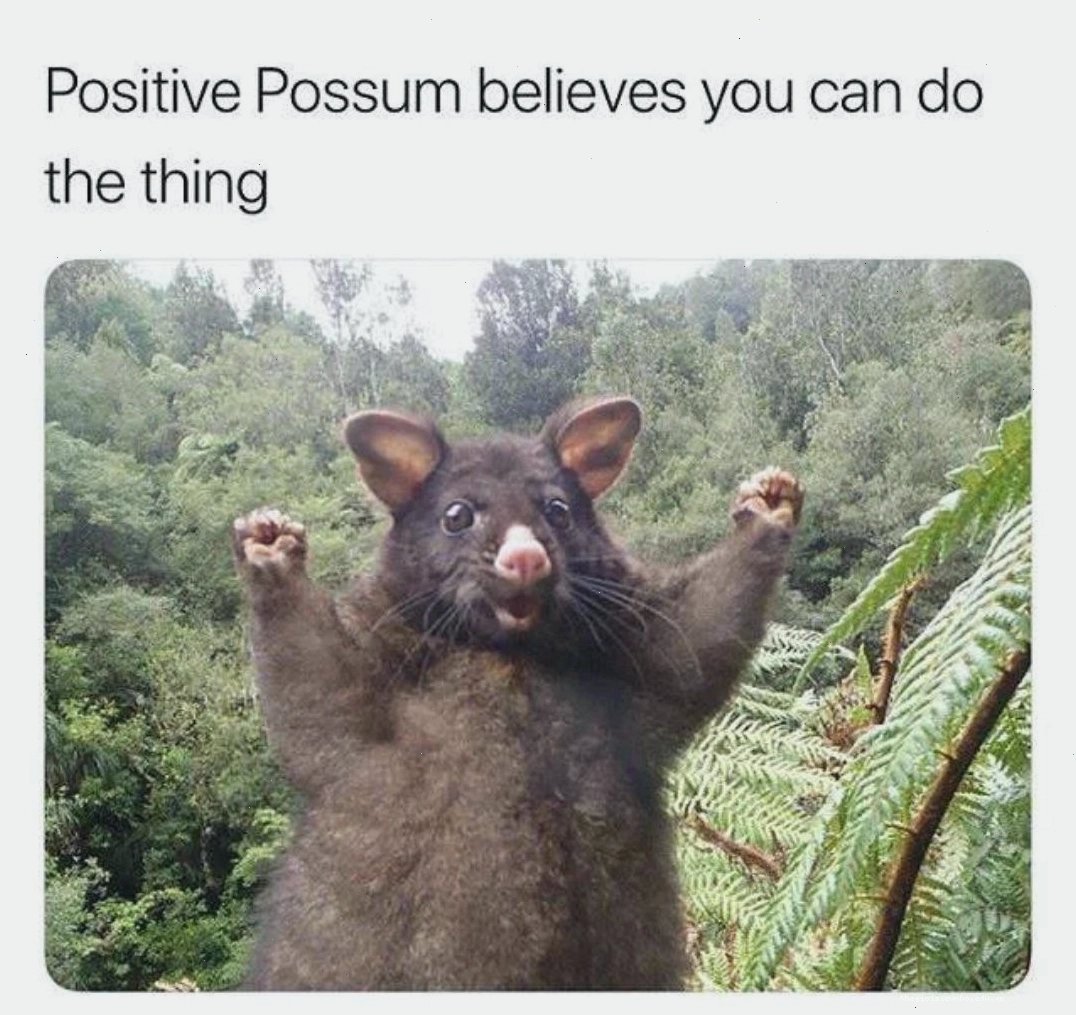 Happy meme về tình bạn