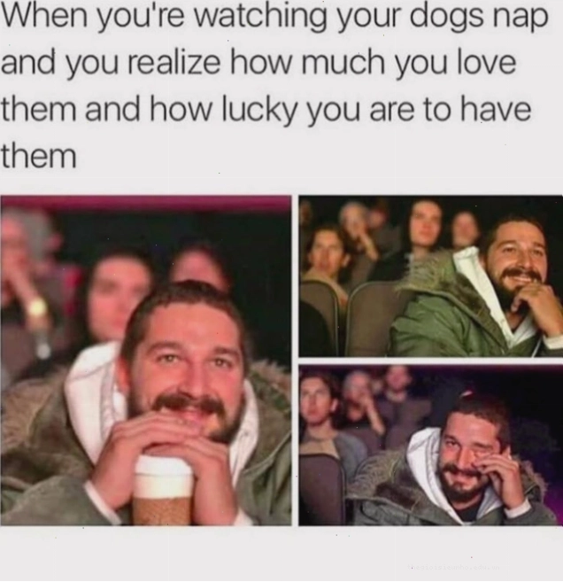 Happy meme với nhiều màu sắc tươi sáng