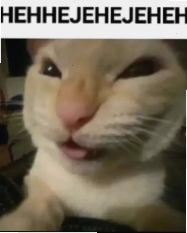 Hihi meme vui vẻ