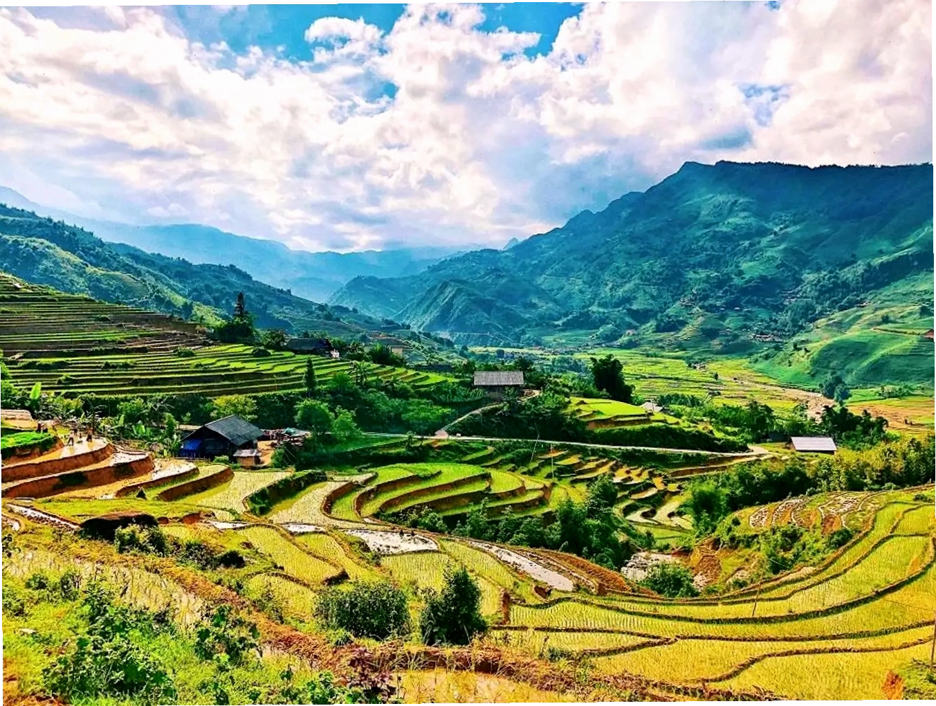 Hoạt động tấp nập tại chợ nổi Cái Răng miền Tây