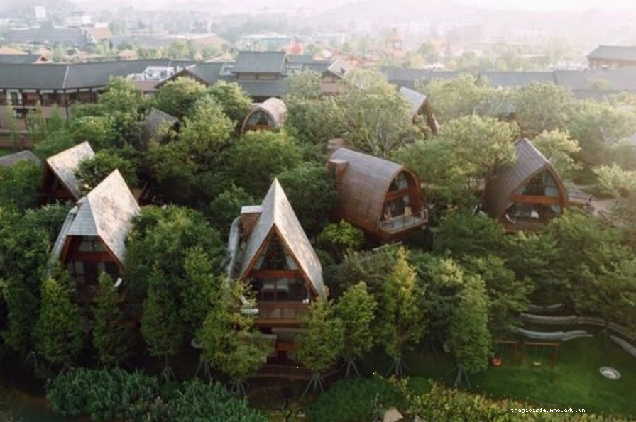 Homestay nhà vườn trú ẩn trong khu rừng xanh mướt