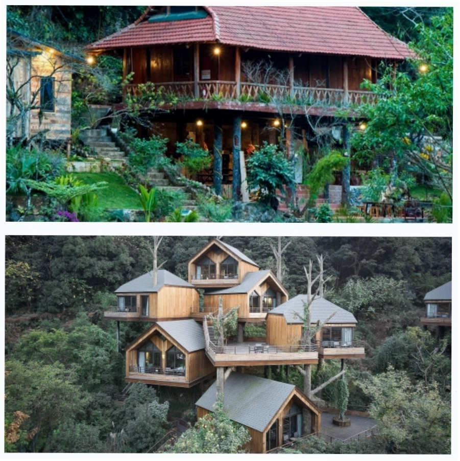 Homestay trên cây độc đáo giữa không gian xanh