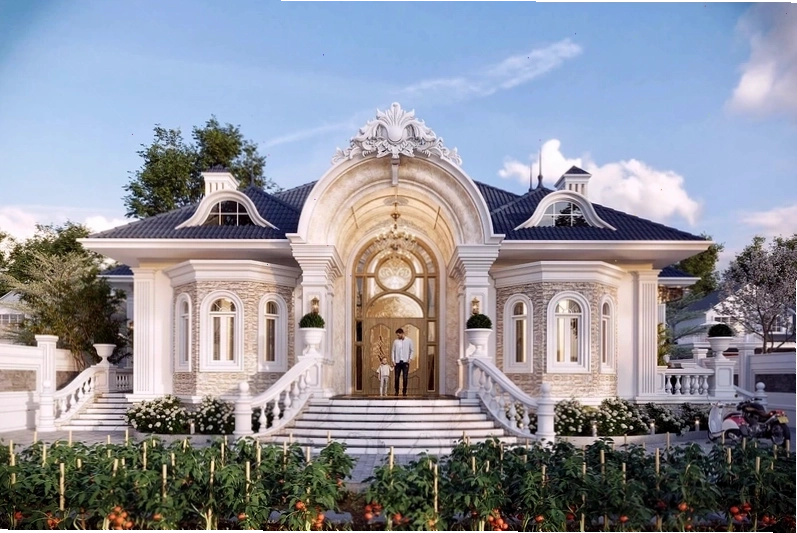 Khu vực ngoài trời với bàn ghế và cây cảnh trang trí