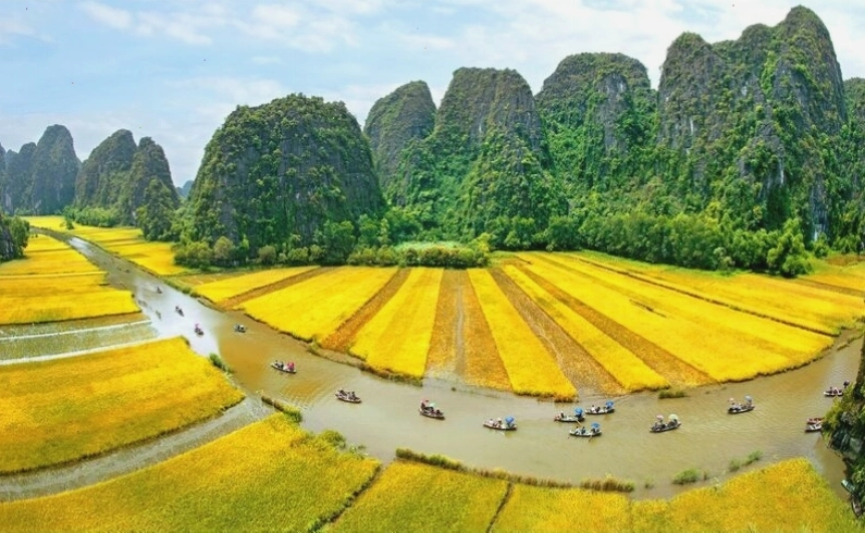 Khung cảnh Sapa mờ ảo trong sương sớm