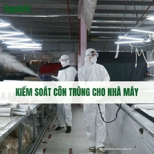 Kiểm soát côn trùng trong nhà máy
