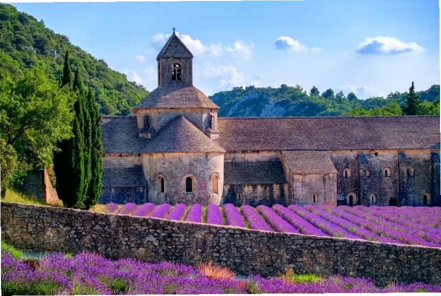 Kiến trúc và cảnh quan đặc trưng của Provence với cánh đồng hoa oải hương