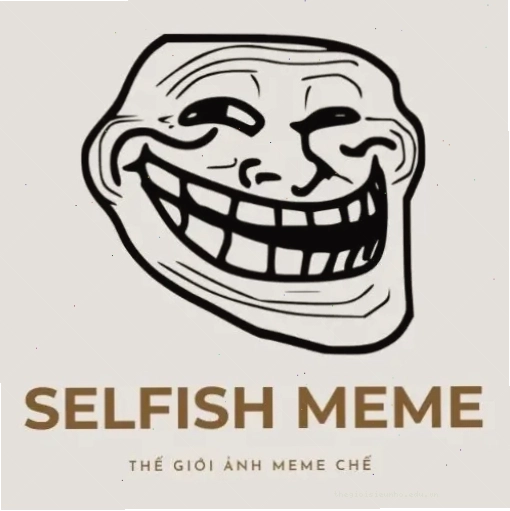 Logo The Selfish Meme
