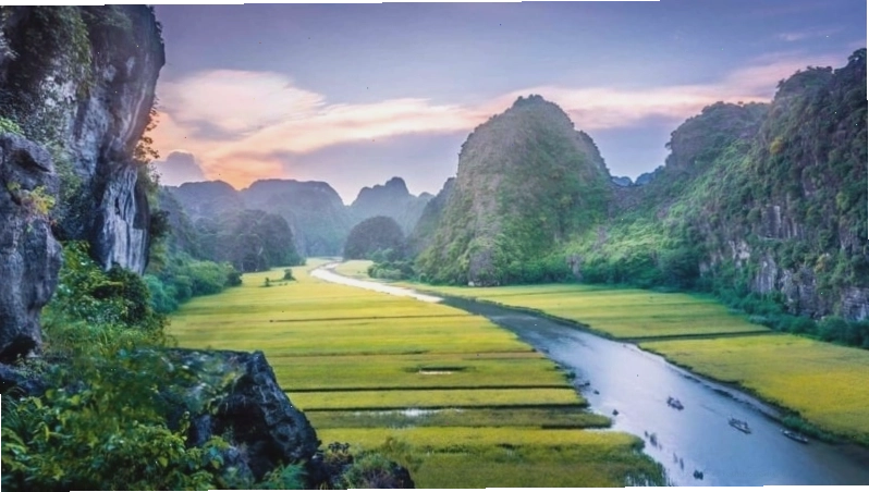 Mẫu tranh in về phong cảnh đẹp với thác nước và rừng cây