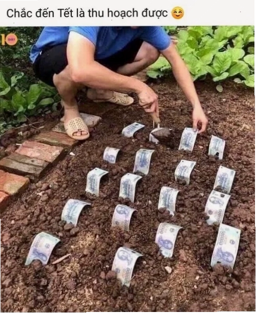 Meme 500k thể hiện sự bất lực trước tình hình tài chính eo hẹp