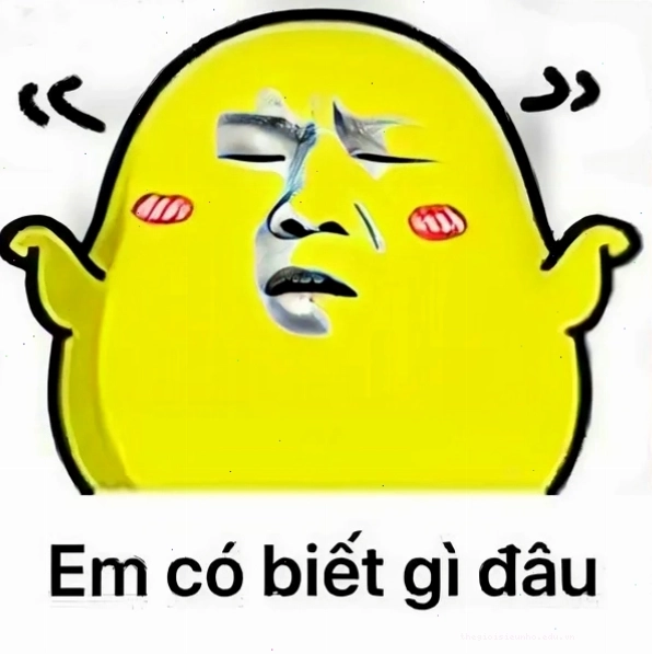 Meme ai biết gì đâu đáng yêu với hình ảnh mèo