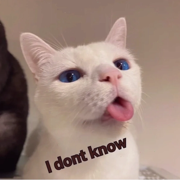 Meme ai biết gì đâu mèo trắng lè lưỡi ngây thơ