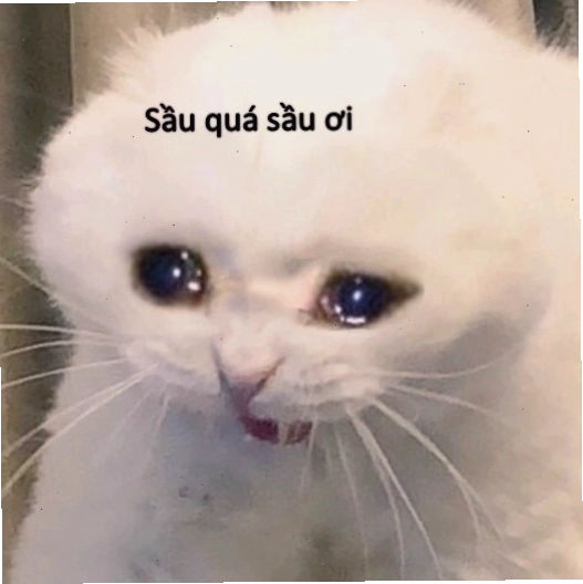 Meme buồn đáng yêu với nhân vật ngộ nghĩnh