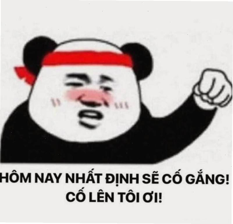 Meme cố lên hình ảnh gấu trúc trong tình huống hài hước