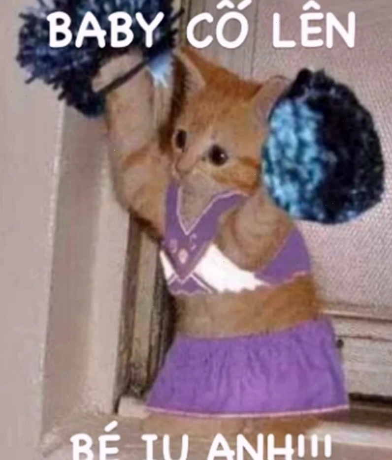 Meme cố lên hình ảnh mèo đang nỗ lực