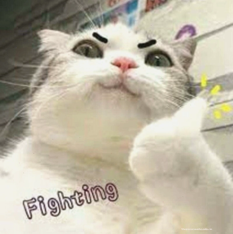 Meme cố lên truyền tải thông điệp tích cực và hy vọng