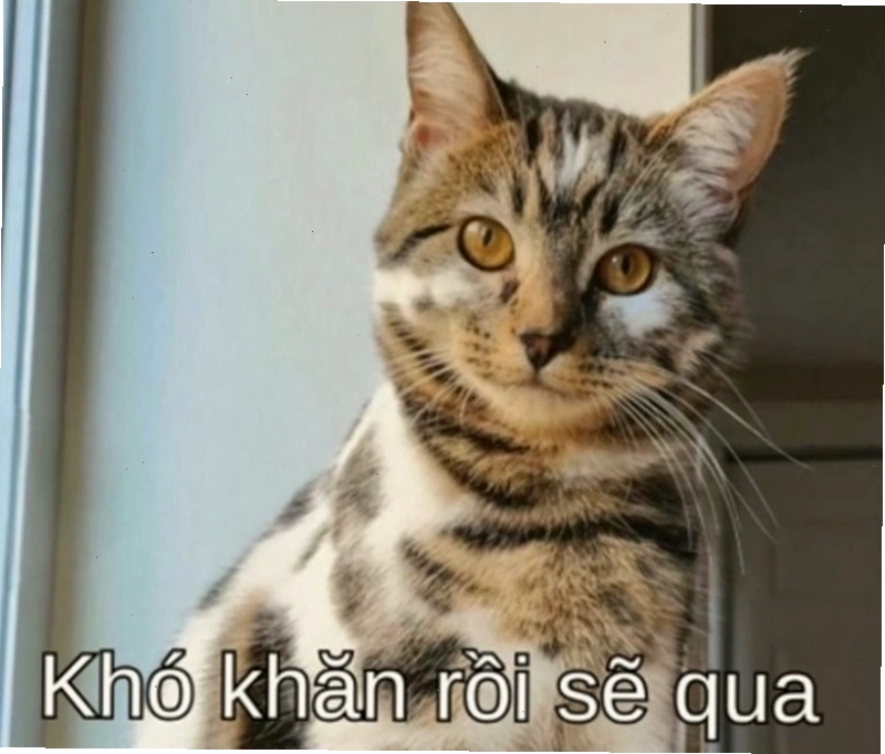 Meme cố lên với hình ảnh em bé đáng yêu