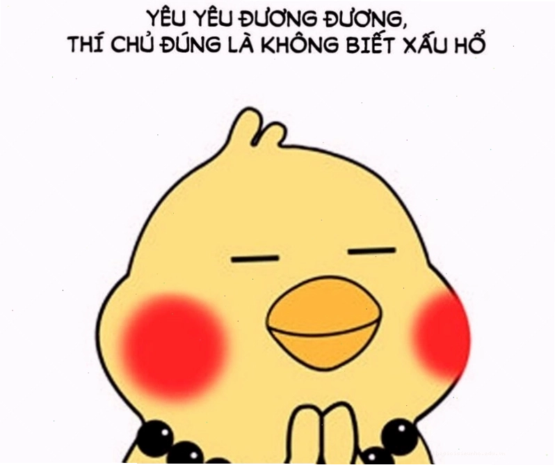 Meme con vật ngại ngùng cực đỉnh