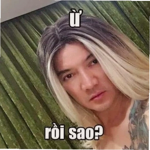 Meme Đàm Vĩnh Hưng khóc