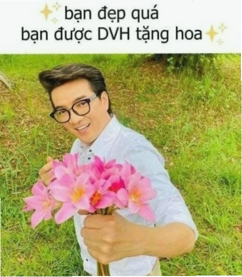 Meme Đàm Vĩnh Hưng ngủ
