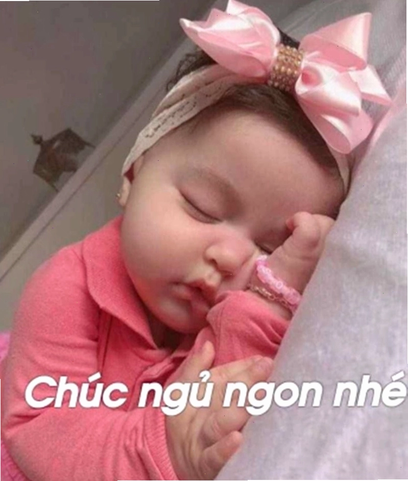 Meme dễ thương với chú chó đang lim dim ngủ