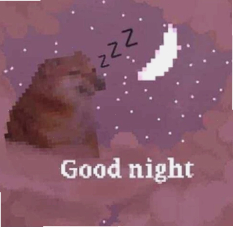 Meme dễ thương với hình ảnh chú gấu đang ngủ