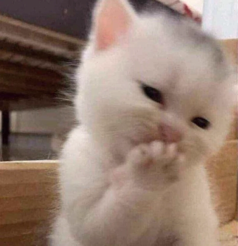 Meme động vật khi cảm thấy ngại ngùng