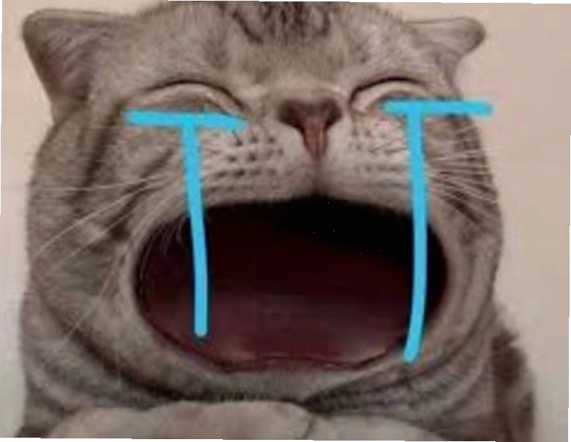 Meme động vật khóc, hình ảnh chú chó với ánh mắt buồn