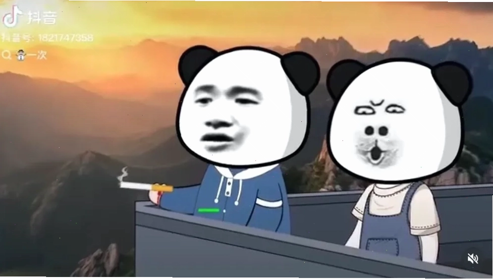 Meme gấu trúc bựa với biểu cảm hài hước